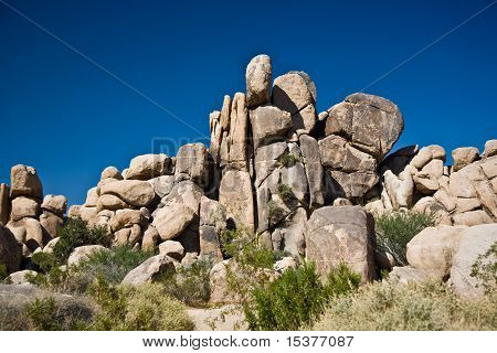 Natura nel parco nazionale di Joshua Tree