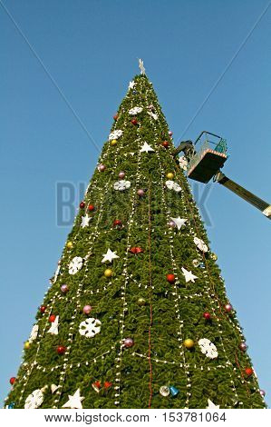 Volgograd Russia - December 20 2008: A worker decorates a Christmas tree in Volgograd