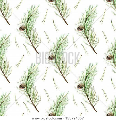 Pine branches seamless pattern.Coniferous twig and pinecone.Watercolor hand drawn illustration.