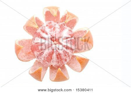 자 몽