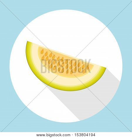 Slice of galia melon with long shadow. Muskmelon - Galia. Honeydew melon