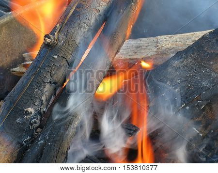 Logs lit on fire for a toasty campfire