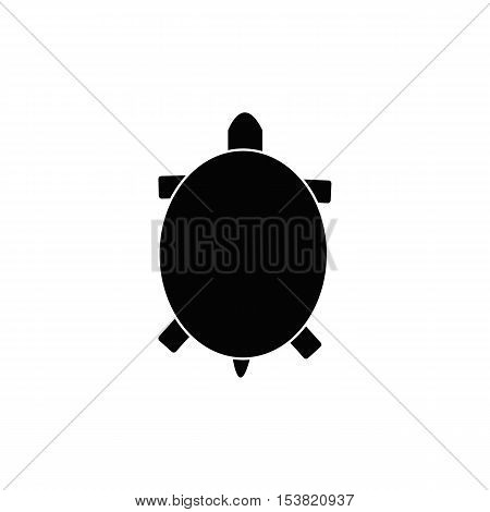 Turtle Icon,turtle icon, isolated, white background,turtle circle background icon, isolated on white background