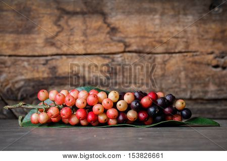 thai blueberry on wooden background, (Antidesma    thwaitesianum)
