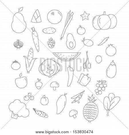 Set of fruits and vegetables icons,Set of the outline hand drawn elements for brazilian june festival. Vector illustration isolated on white.