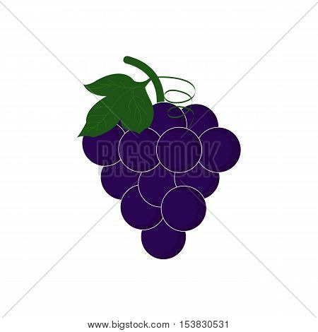 Grape,grapes icon design, blackberry. Label for design. Vector