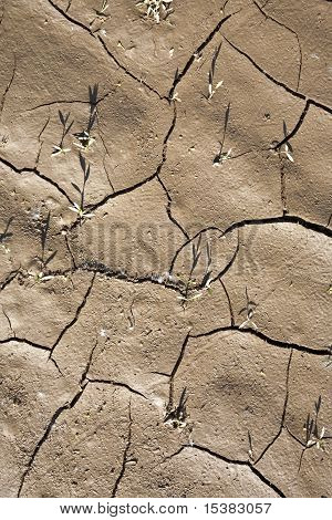 Cracking terra sfondo