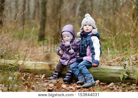 Two Sisters Sitting On A Tree