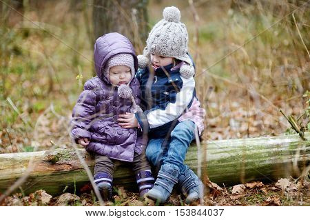 Two Sisters Sitting On A Tree