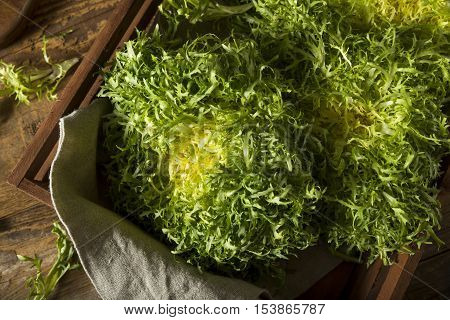 Raw Green Organic Frisee Lettuce
