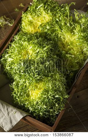 Raw Green Organic Frisee Lettuce