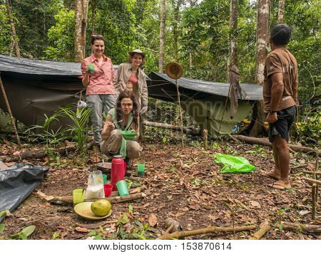 Camp In The Jungle