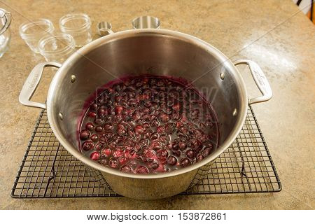 Grape Jam Jelly