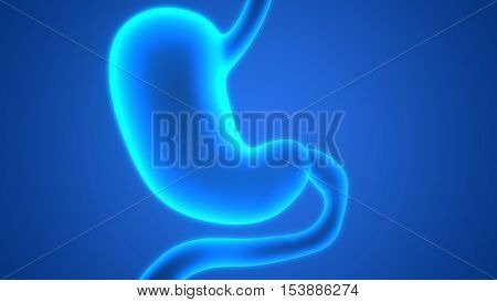 3D Illustration of Human Digestive System (Stomach Anatomy)