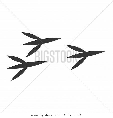 Animal bird foots and wildlife steps, pet traces. Animal birds foots silhouette steps