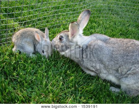 Matka a dítě Bunny