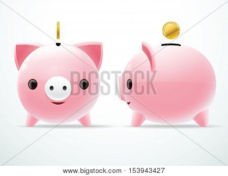 bank pig coin two side on white background
