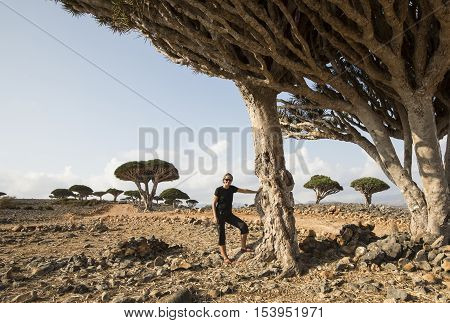 young woman at a forest of dragon blood trees dracaena cinnabari on an island of Socotra