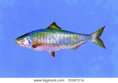 Pesce