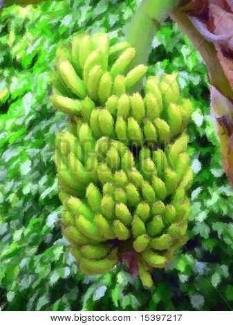 Banane verdi