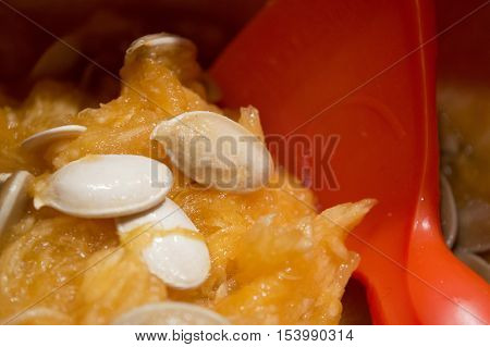 Pumpkin seeds freshly being scooped out of pumpkin close-up inside with pulp for baking, toasting and as an ingredient in fall cooking