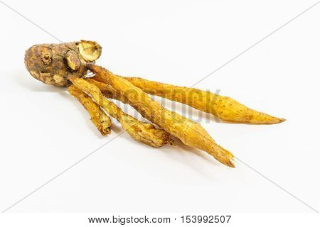 finger root on white background,rhizome,herb in thailand,