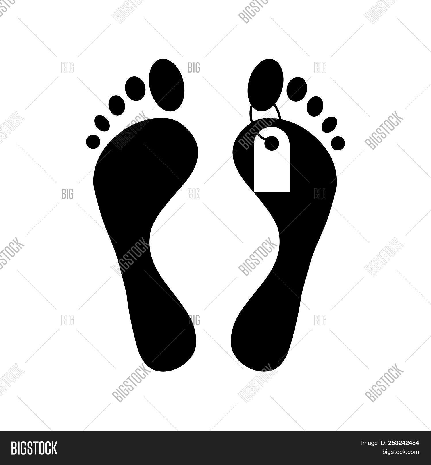 Human Feet Toe Tag Image & Photo (Free Trial) Bigstock