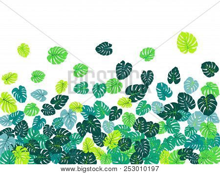 Turquoise Tropical Jungle Leaves Vector Scatter. Philodendron Or Monstera Plant Summer Background. C