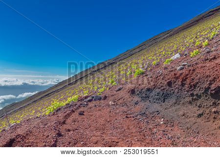 Mt. Fuji Climbing,yoshida Trail  For Descent, Japan