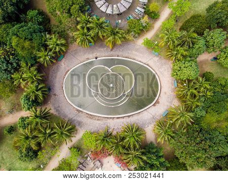 Aerial View Of Man Made Pond With Fountain In Park In Barra Da Tijuca, Rio De Janeiro. Drone Pov Sho