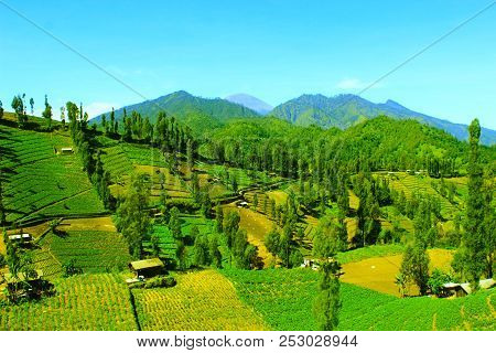 See The Semeru Peak From Ngadas Village