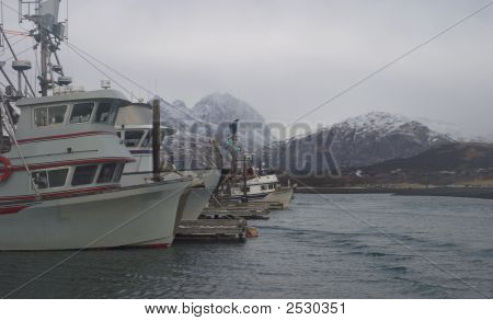 Alaskan Harbor
