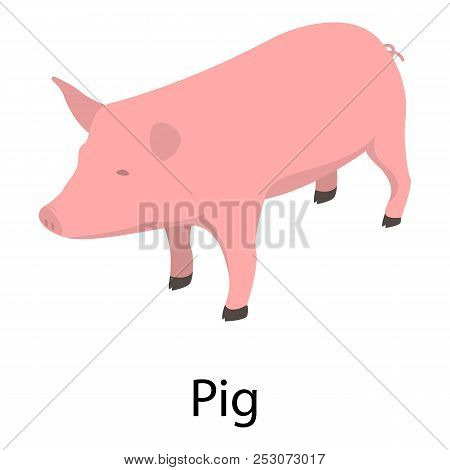 Pig Icon. Isometric Of Pig Icon For Web Design Isolated On White Background