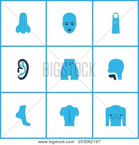 Physique Icons Colored Set With Face, Finger, Breast And Other Head Elements. Isolated Vector Illust