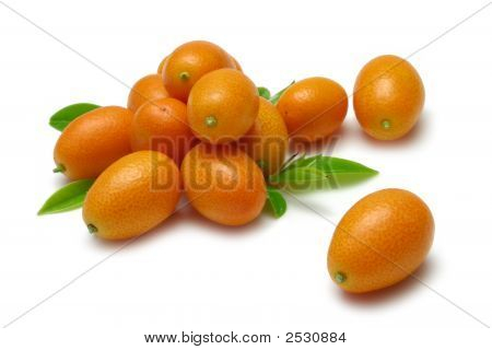Kumquat