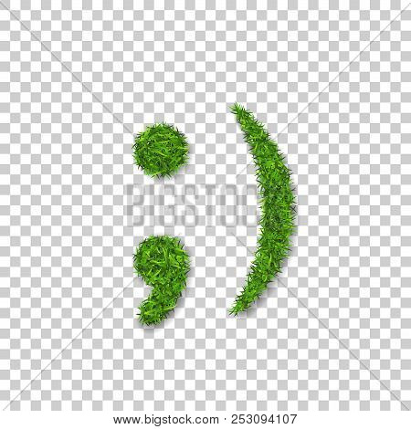 Green Grass Wink Smile 3d. Smiley Grassy Emoticon Icon Isolated White Transparent Background. Happy 