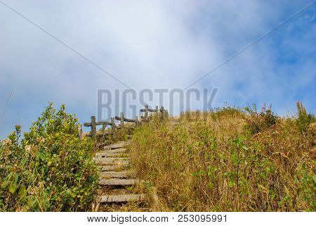 Wooden Ladder Up To Blue Sky Like Completing The Goal