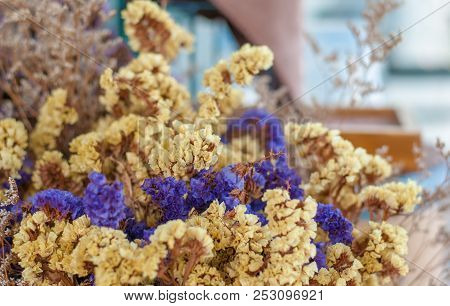 Light Brown And Dark Blue Dry Flower Is Grouped In Set For Beautiful Decoration At Small Local Coffe