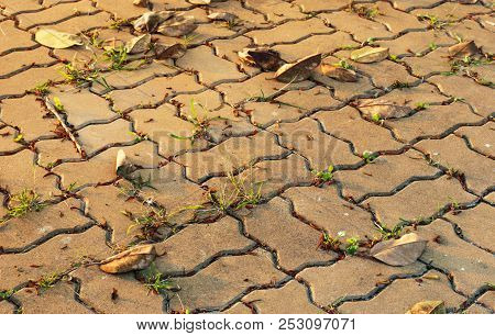 Ground Blocks In Evening Time With Golden Sunshine On It As Well As Dry Leaves And Plant Which Tryin