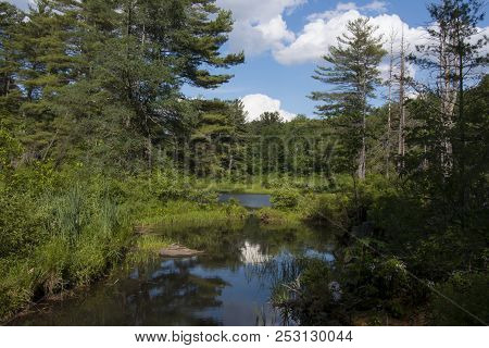 A Wetlands Scene From A Sanctuary In Massachusetts.