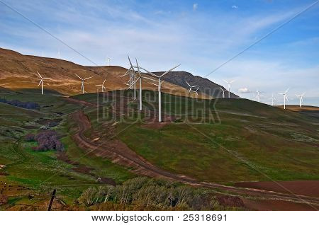 Modern Wind Power Ecologic Landscape
