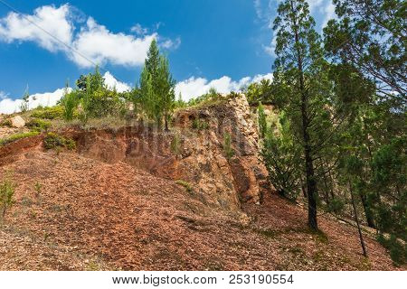 The Diverse Landscapes Of Kenya. Trees On The Rocks Of Kakamega Forest. Africa