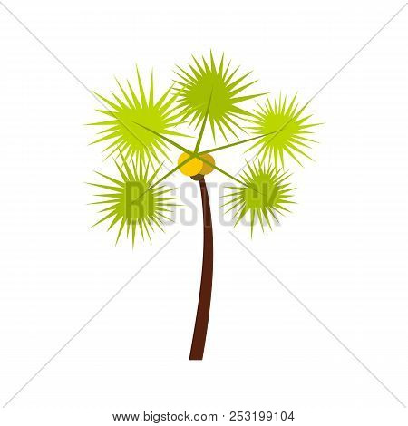 Palm Chamaerops Icon In Flat Style Isolated On White Background. Flora Symbol