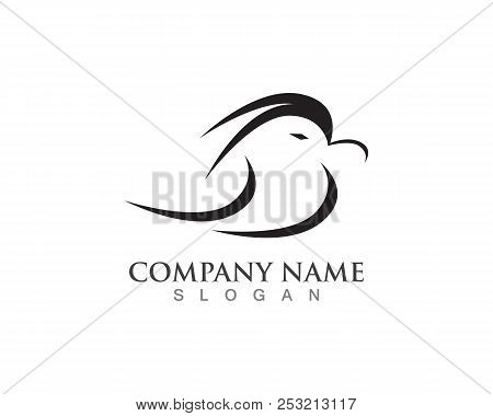 Vector - Vector Sign Abstract Bird In Flight
Hummingbird Logo Template