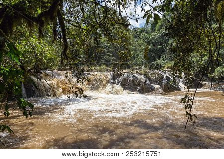 Small Rapids On The Rivers In The Jungles Of Kakamega Forest. Kenya, Africa