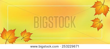 Orange Yellow Backgraound With Autumn Leaves Vector Illustration Eps10