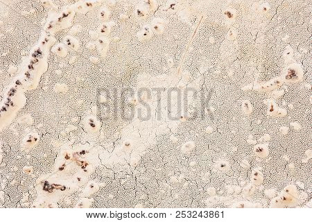 Bottom Hubs That Look Like A Dried Up Salt Lake. A Photo Close Up. A Unique Background.