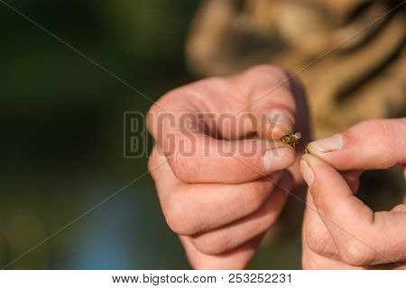The Fisherman Puts On A Bait. Fishing.