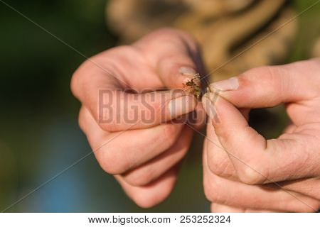 The Fisherman Puts On A Bait. Fishing.