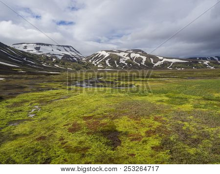 Summer Landscape With Colorful Green And Orange Moss Meadow With Hot Springs And Snow Covered Rhyoli
